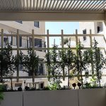 דופן דקורטיבית בפרגולה בירושלים