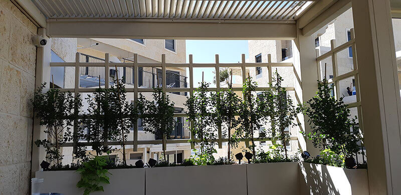 דופן דקורטיבית בפרגולה בירושלים